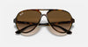 Cats 5000 Classic Polished Light Havana Light Brown Gradient