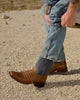 The William - Toffee & Navy - Caiman