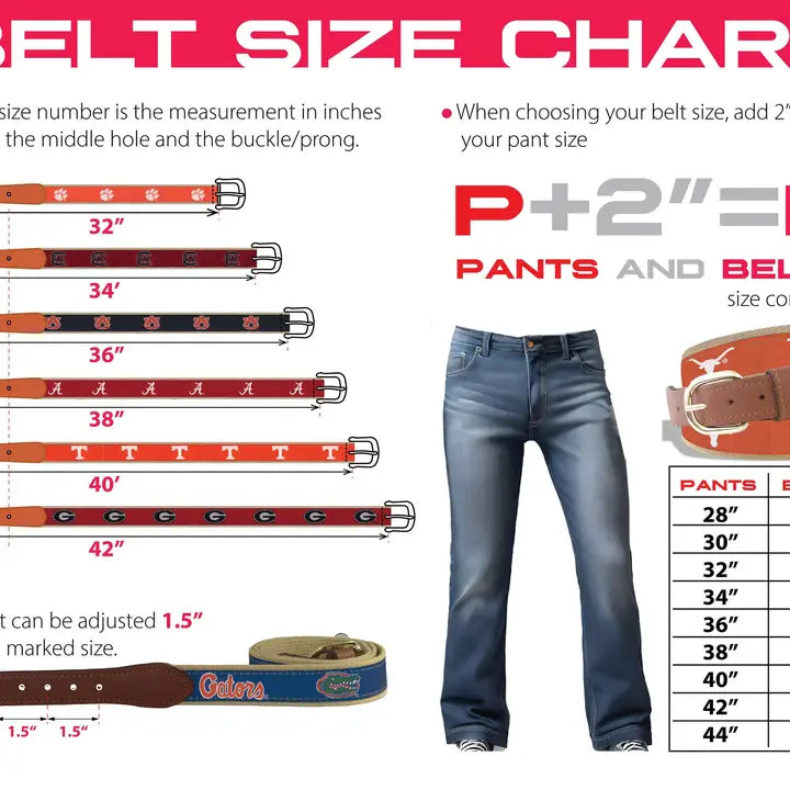 Ribbon Belt - Florida Gators