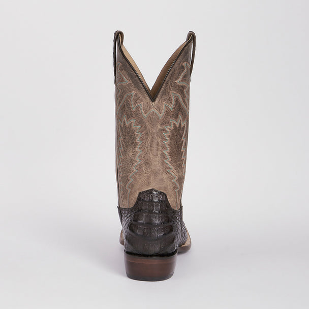 Caiman Belly Square Toe Boot - Chocolate