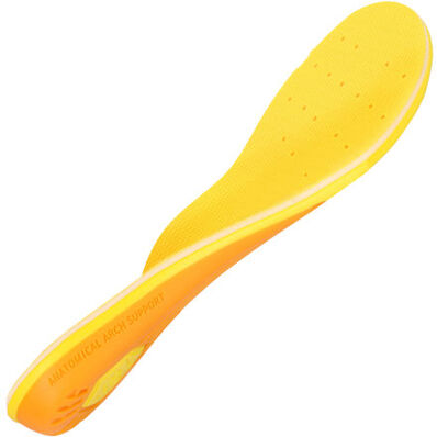 AMP Support+ Insole
