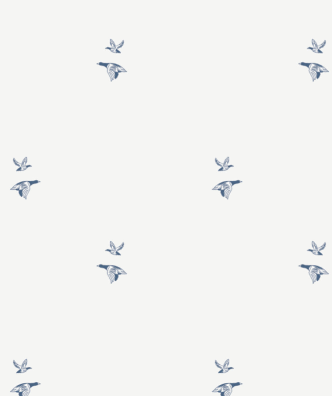 Flying Ducks Polo