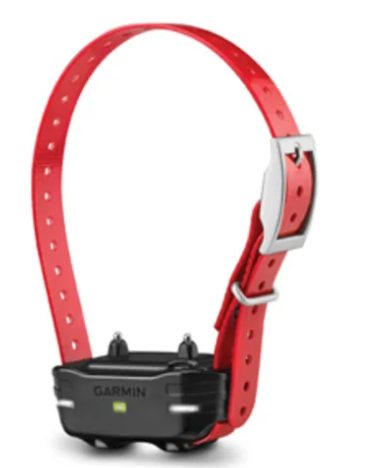 PT 10 Dog Device - Red Collar