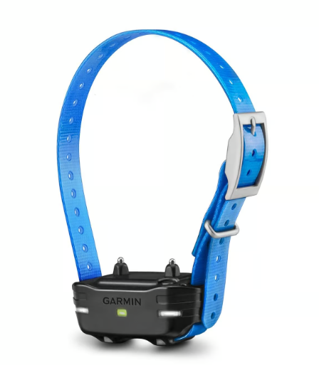PT 10 Dog Device - Blue Collar