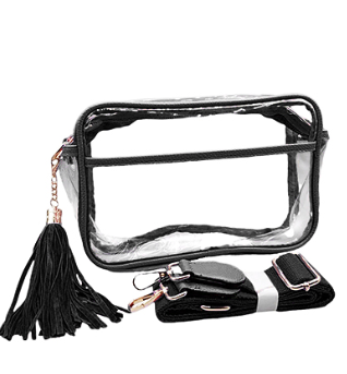 Color Trim Clear Rectangle Crossbody - Black/Clear