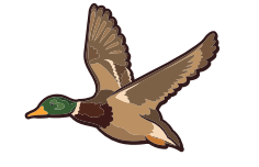 Flying Duck - Black Ice Scent