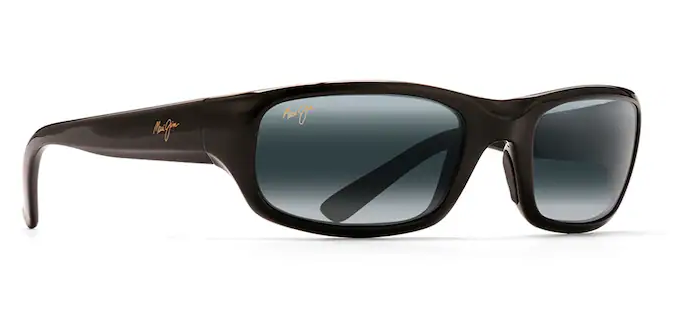Stingray Polarized - Gloss Black w/ Neutral Grey
