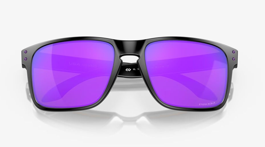 Holbrook™ XL Matte Black Prizm Violet