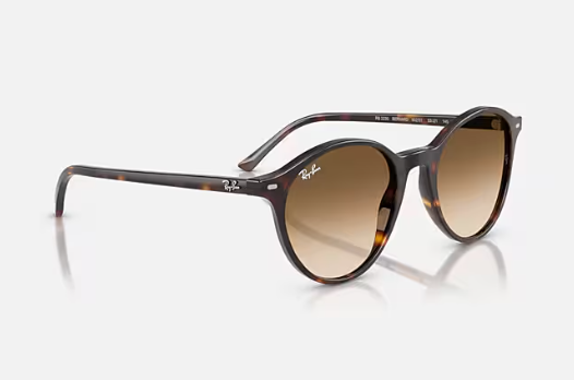 Bernard Polished Havana Clear Gradient Brown