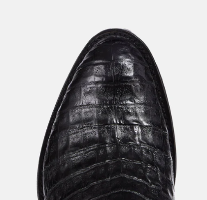 Charles :: Black Ultra Belly Caiman