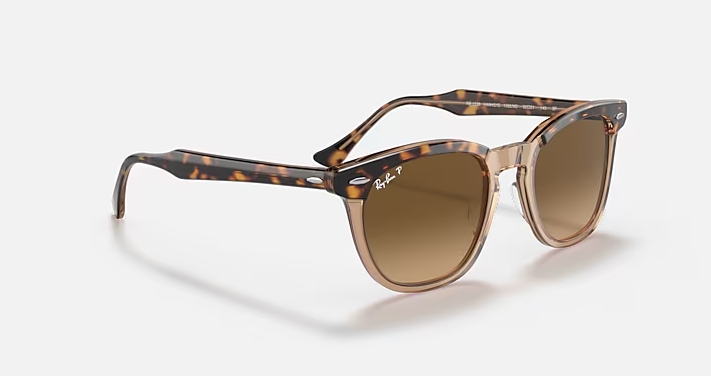 Hawkeye Polished Havana On Transparent Brown Brown Gradient Lenses