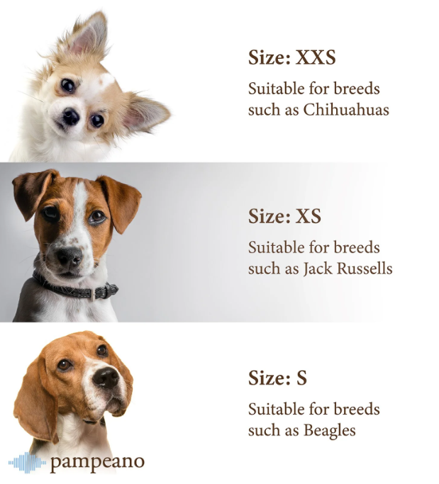 Dog Collar - Roca