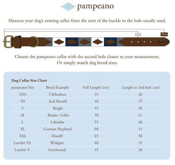 Dog Collar - Multi