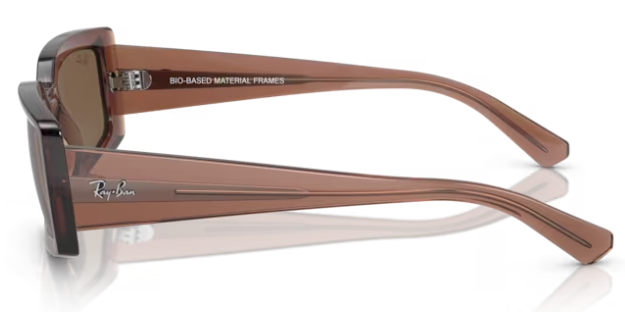 Kiliane Transparent Brown w/ Dark Brown Lense