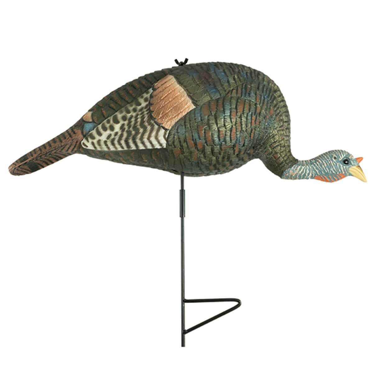 Bugging Hen Decoy