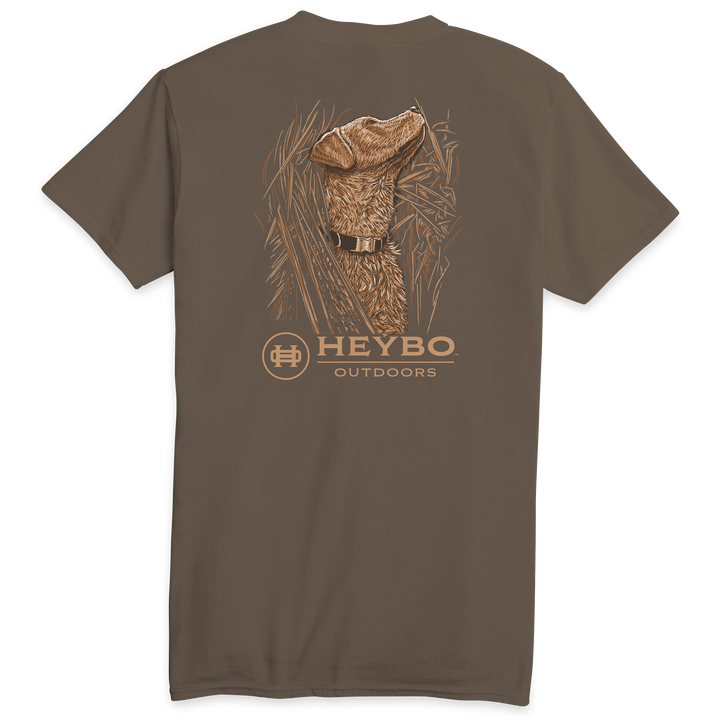 Heybo Eyes Skyward Bark