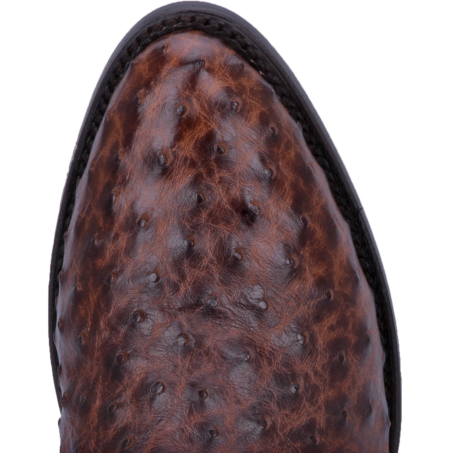 Dan Post Pershing Full Quill Ostrich Boot