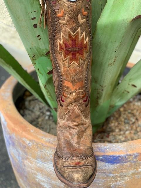 Women's Cognac Tall Western Boot
