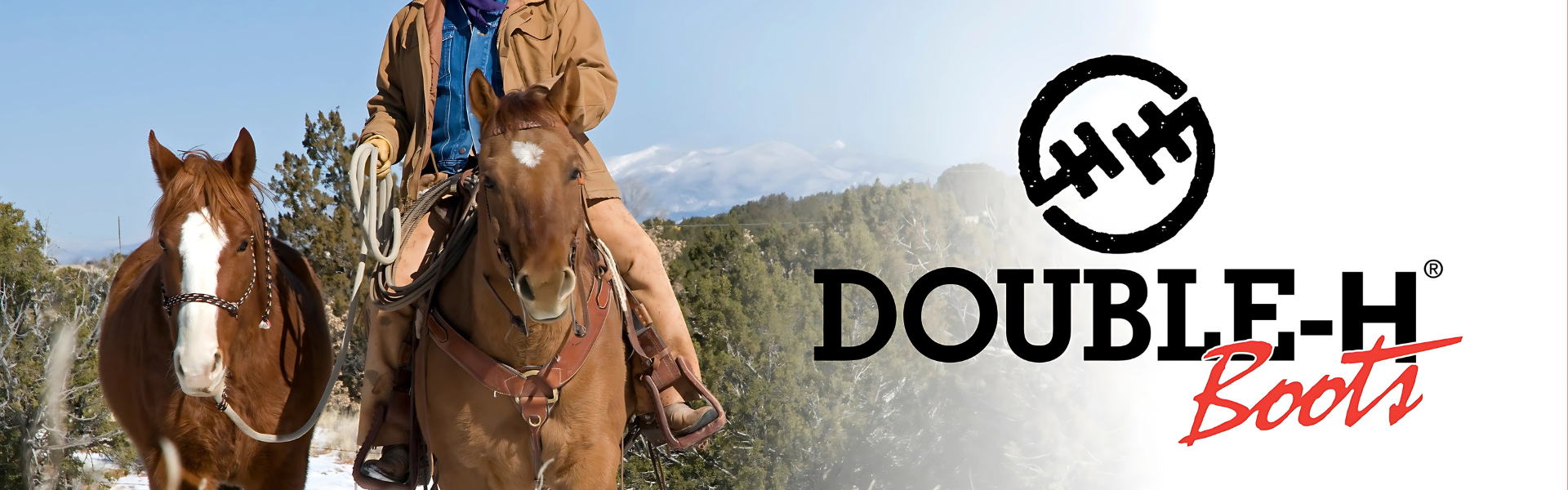 Double-H