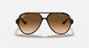 Cats 5000 Classic Polished Light Havana Light Brown Gradient