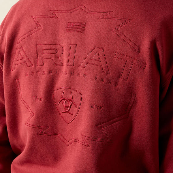 Ariat Archstar Hoodie - Brick Red