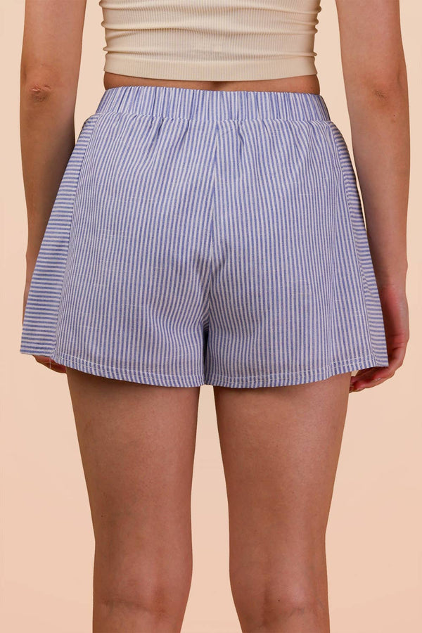 Striped & Checker Boxer Shorts - Blue Stripe