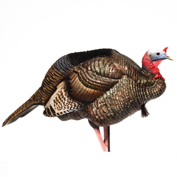 3/4 Strut Jake Decoy
