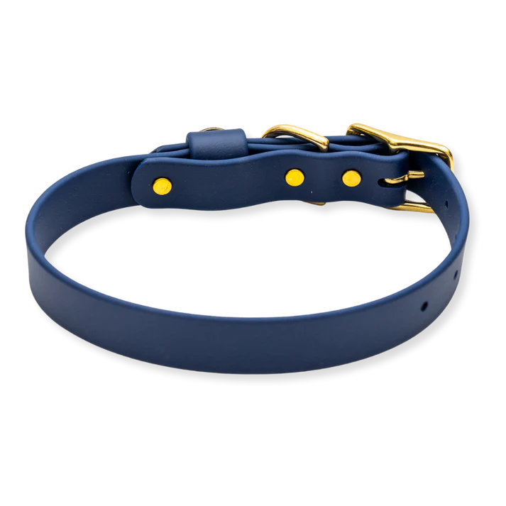 Waterproof Dog Collar - Navy