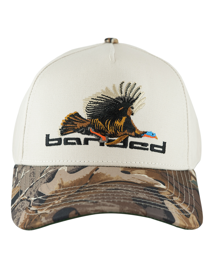 Banded - Flying Tom