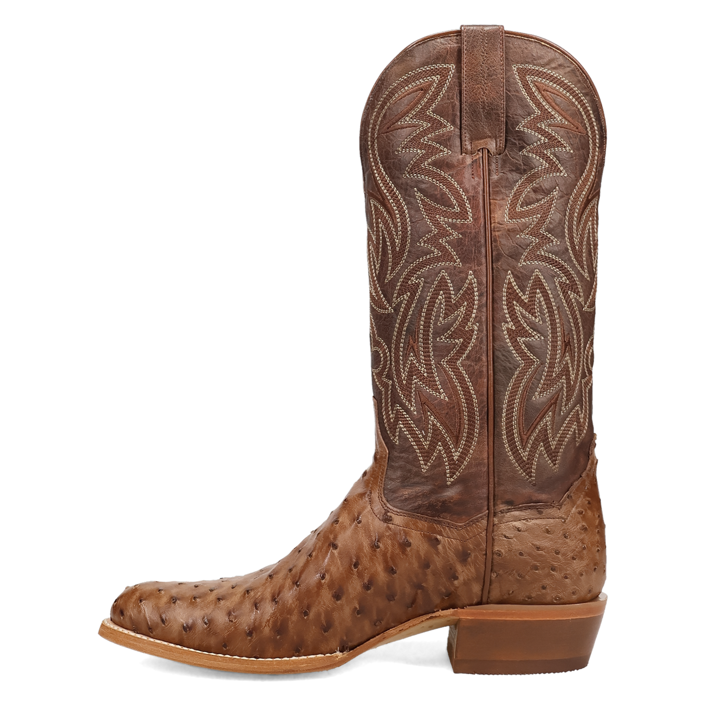 Gauge Full Quill Ostrich - Brown
