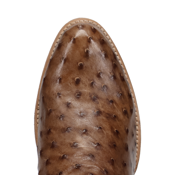 Gauge Full Quill Ostrich - Brown