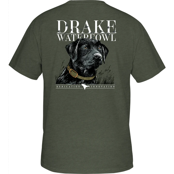 Black Lab Collar T-Shirt - Kalamata Olive