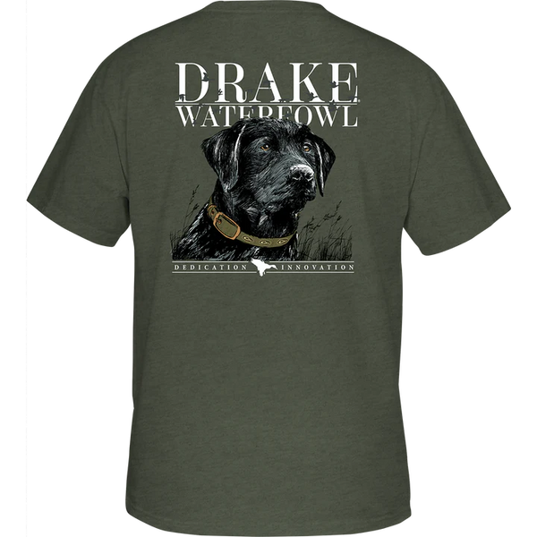 Black Lab Collar T-Shirt - Kalamata Olive