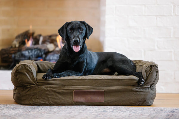 Team Gun Dog Landing Zone Premium Canvas Dog Couch - Green Timber