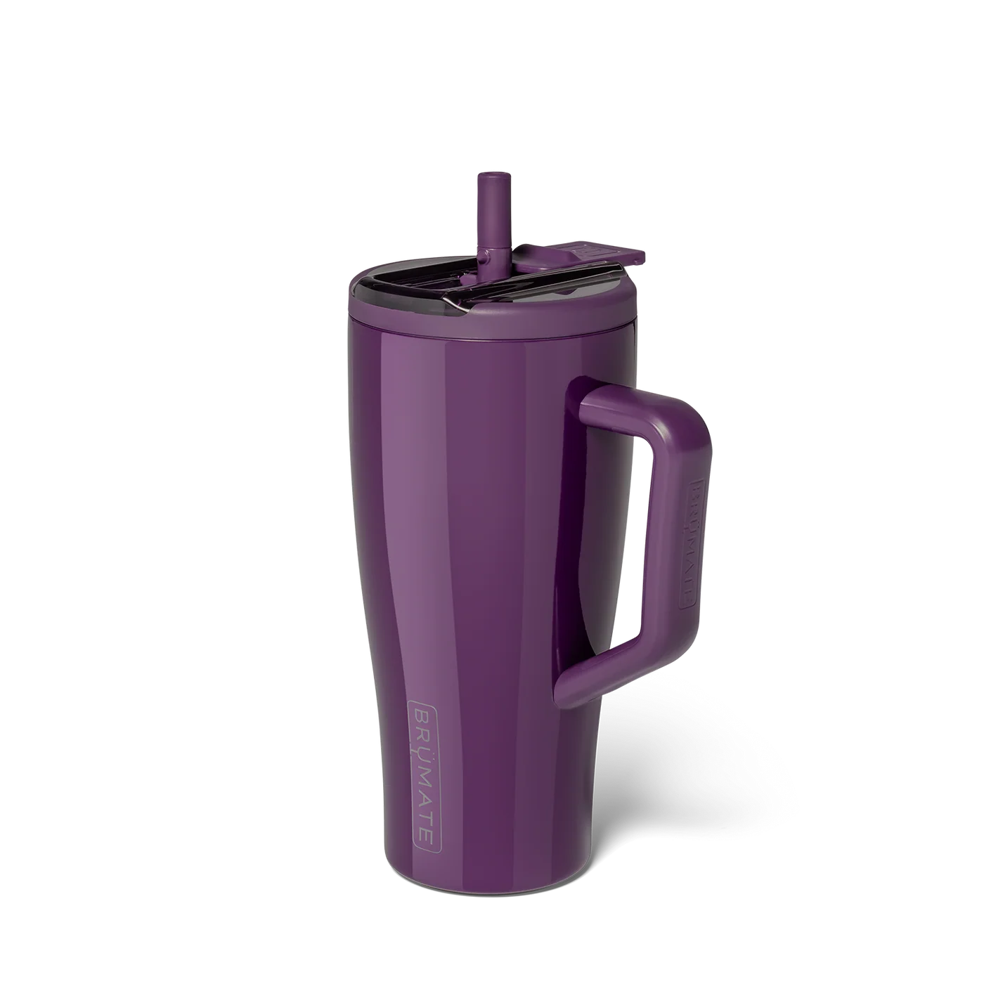 Era Flip 30oz - Plum