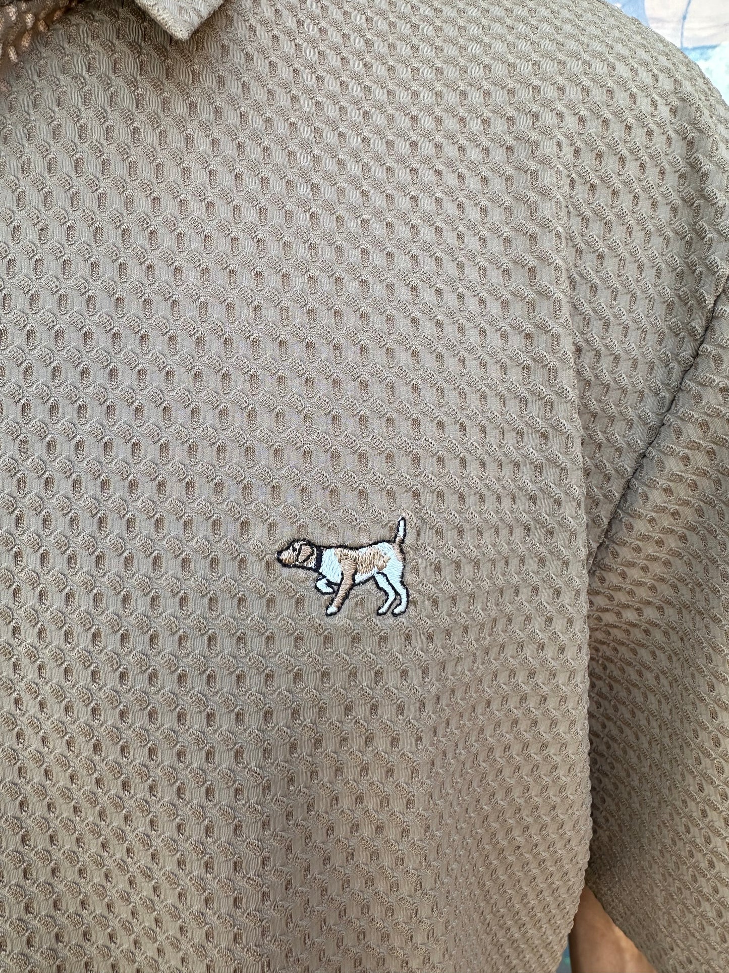 Pointer Polo - Chesnut