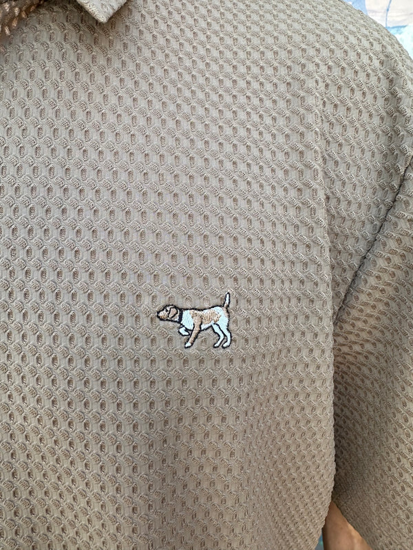 Pointer Polo - Chesnut