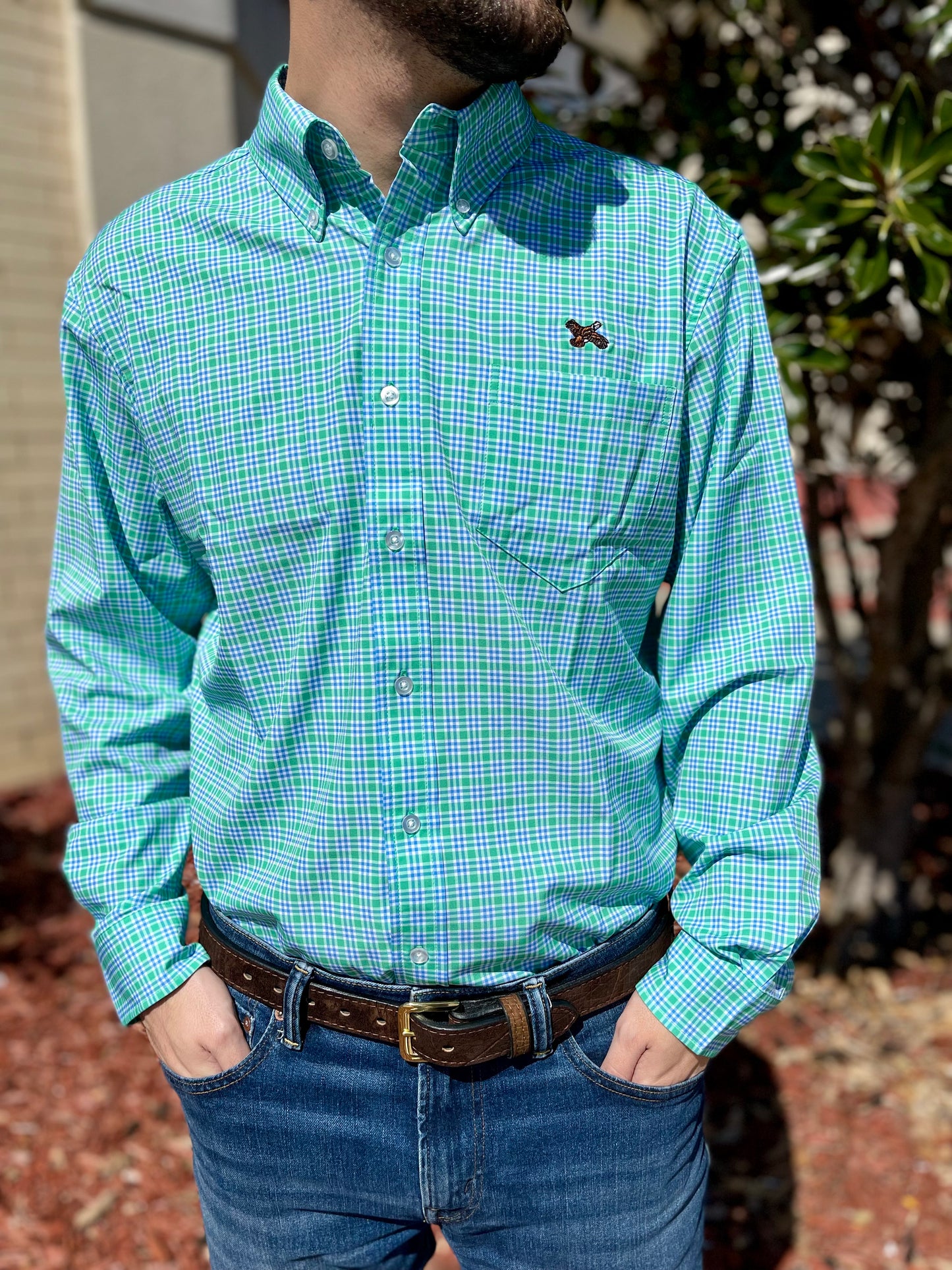 Dallas Wayne Quail Button Up- Green/Blue