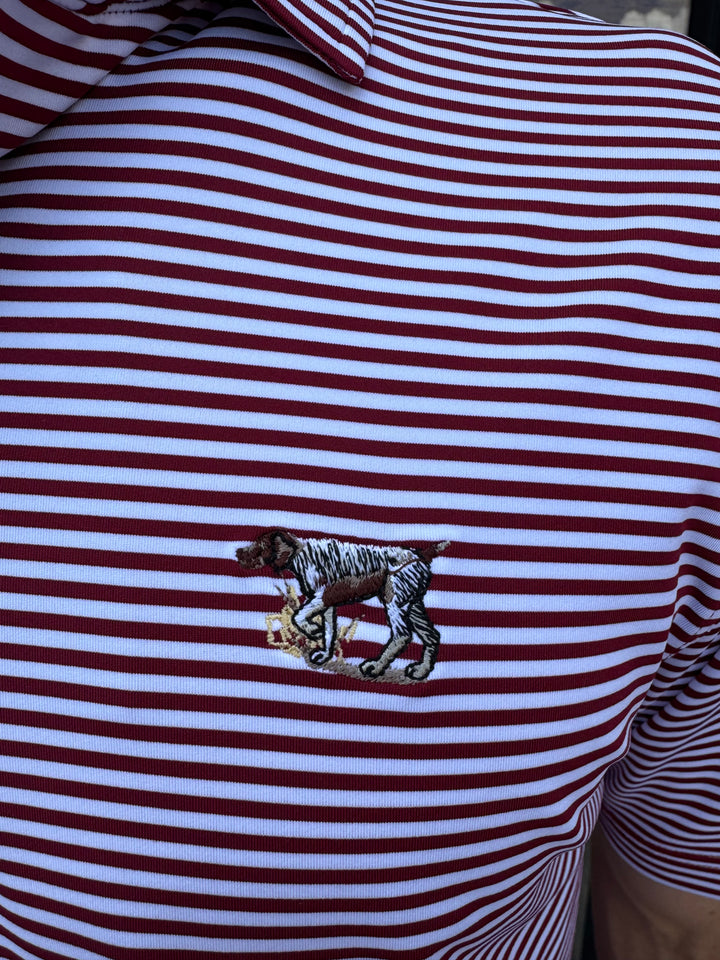 Pointer Performance Stripe Polo - Crimson/White