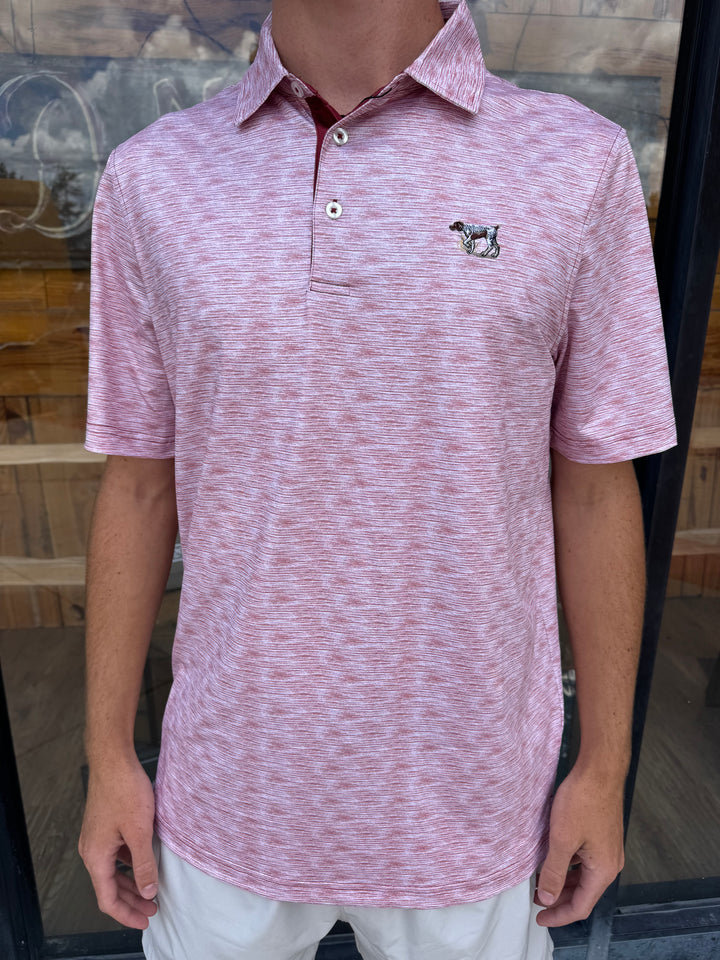 Pointer Performance Polo - White/Borderaux/White