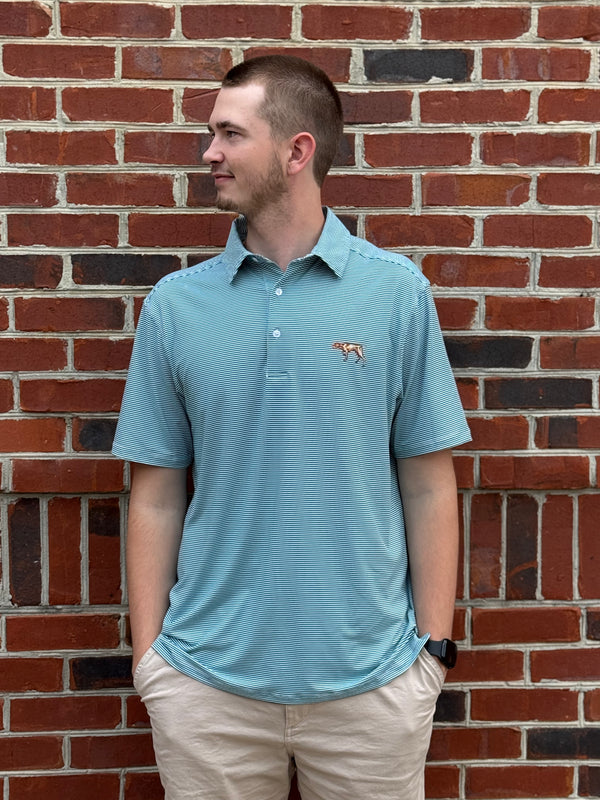 Pointer Performance Polo - Evergreen Stripe