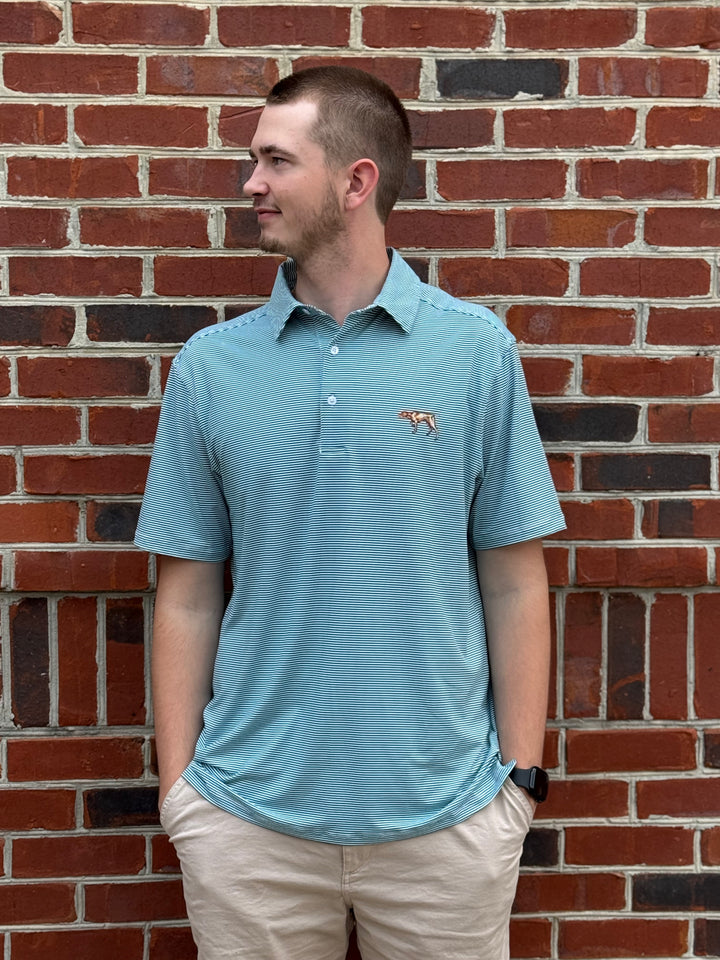 Pointer Performance Polo - Evergreen Stripe