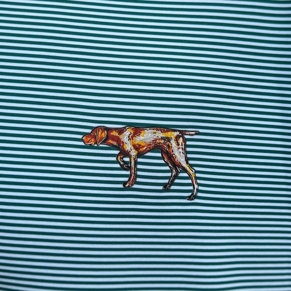 Pointer Performance Polo - Evergreen Stripe