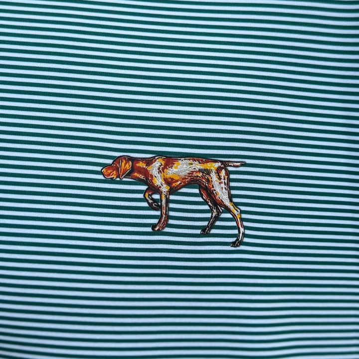 Pointer Performance Polo - Evergreen Stripe