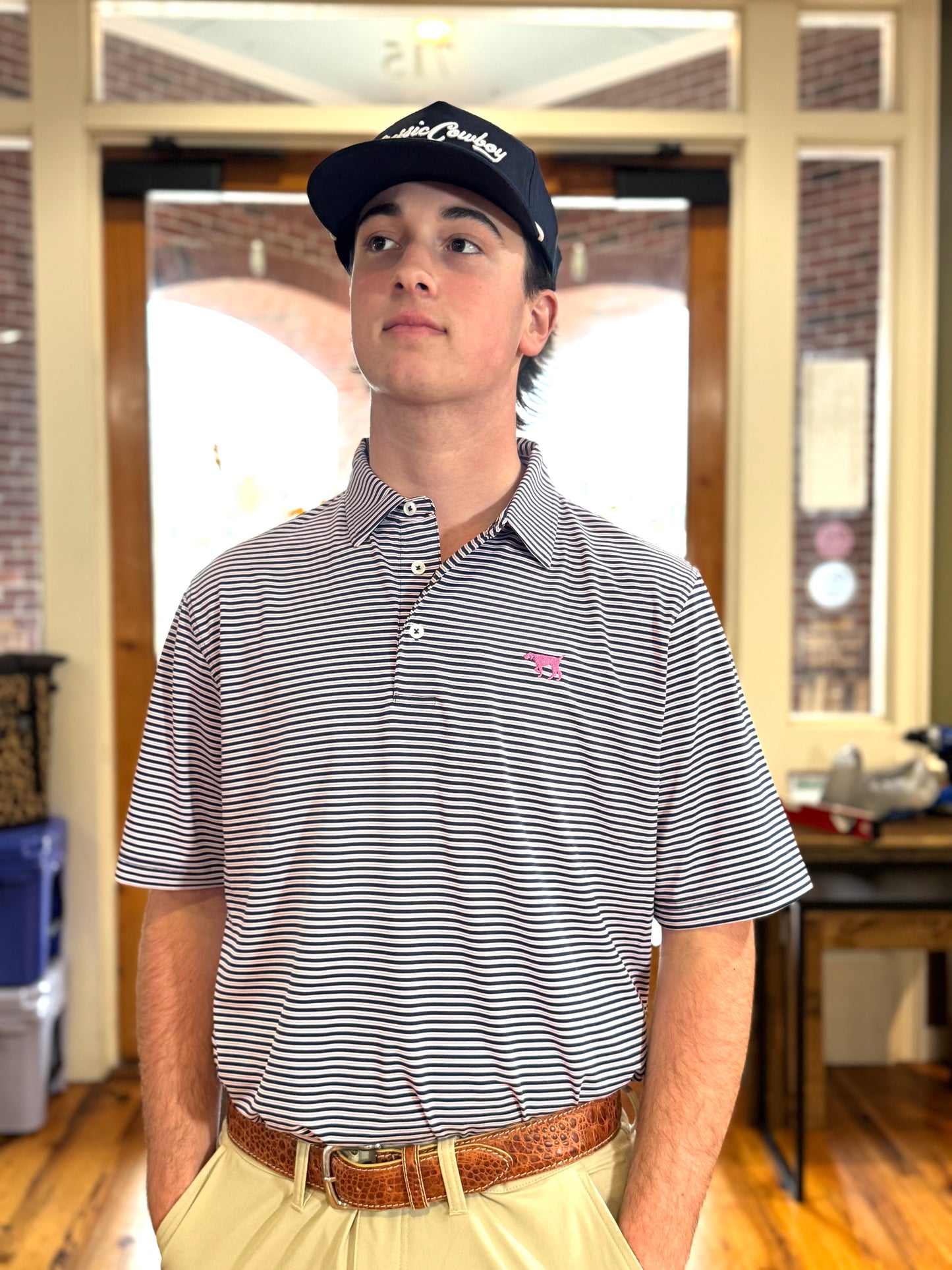 Tonal Pointer Performance Polo - Azul Stripe