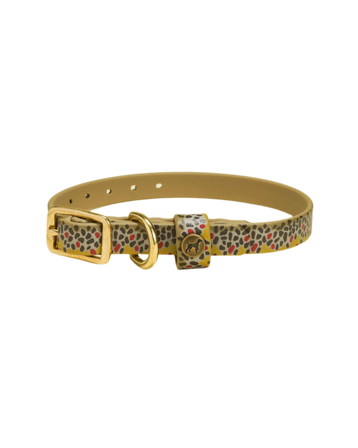 Sporting Puppy Collar - Brown Trout