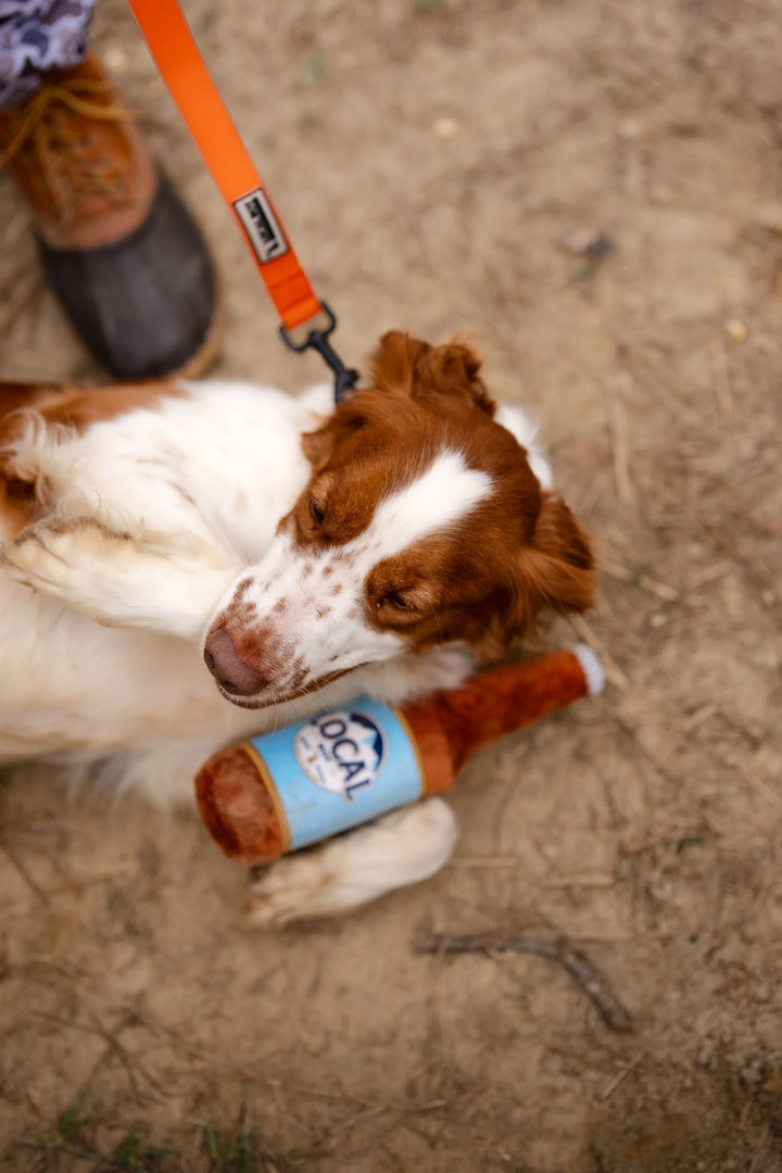 Busch Latte Bottle Dog Toy