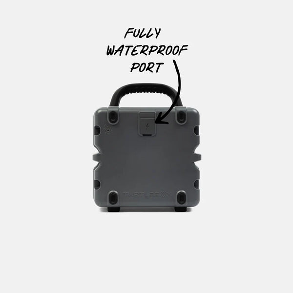 Cub - Gray