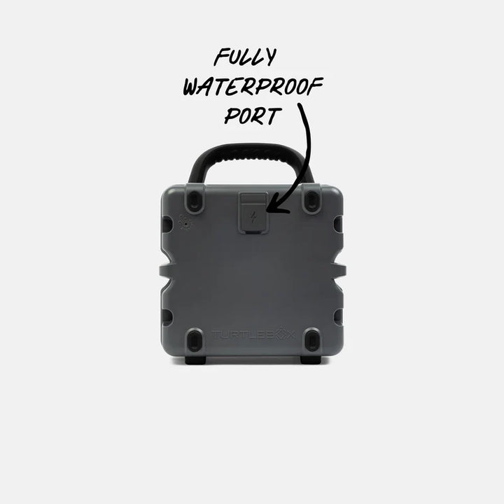 Cub - Gray