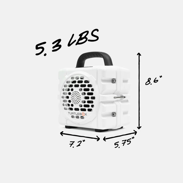 Cub - White